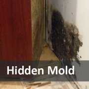 hidden-mold Cabinet pulled away from the wall to reveal black mold