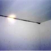 pages-images-WSE.jpg Photo of black mold in the ceiling seam of a reader's home