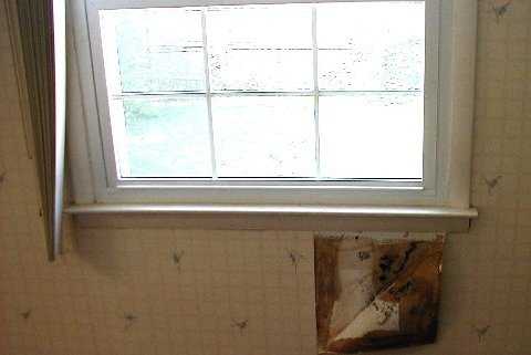 Mold behind wallpaper
