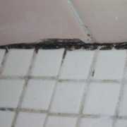 copy of Mold growing on shower tile