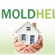 Mold-help.org square logo