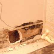 Prison IMG_3147 Black mold found in subfloor of California Correctional facility