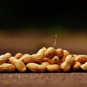 peanuts-1735672_640 Peanuts in shells