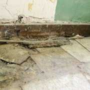 Lauderdale Courthouse Mold Mold, lead based paint and asbestos in Courthouse