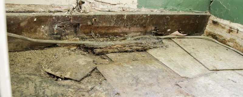 Mold, lead based paint and asbestos in Courthouse