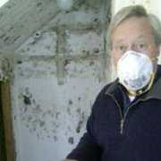 Man cleaning a moldy basement Man with mask cleaning up a moldy basement