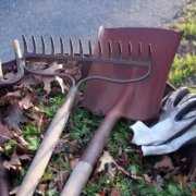 Moldy leaves make me sick Wheelbarrow with tools and moldy leaves