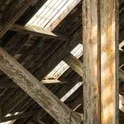 Mold disclosure statement by seller House with moldy timbers