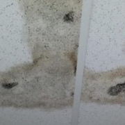 Mold in Military Housing Mold on ceiling of military housing