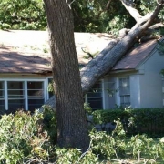 Storm-Damage-094239-3295210_web House with fallen tree from hurricane damage