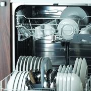 Does my dishwasher kill mold? Dishwasher full of clean dishes