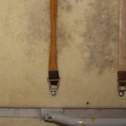 Mold in the International Space Station Mold in the International Space Station