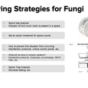 Fungal-Monitoring-Strategies Chart showing monitoring Strategies for Fungi on Cannabis